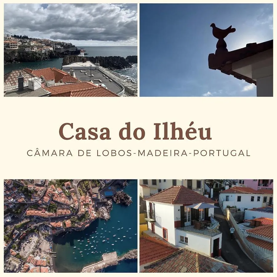 Holiday home Casa Do Ilheu - House Of Ilheu - Camara De Lobos Villa